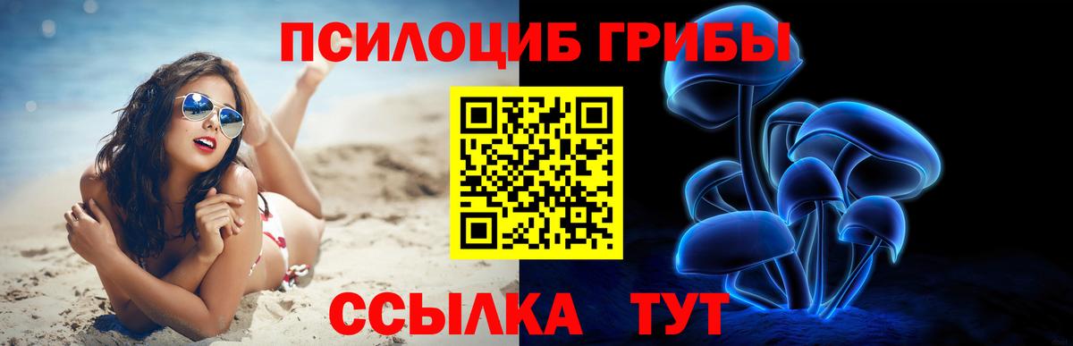 Псилоцибиновые грибы прущие грибы Сердобск